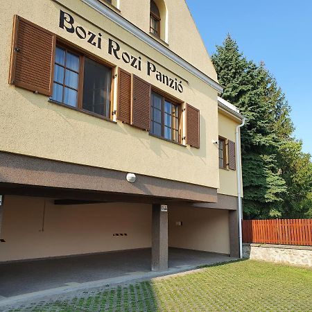 Bozi Rozi Panzio Hotel Fertoboz Exterior photo