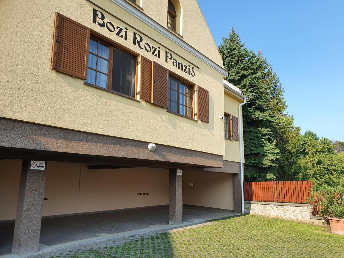 Bozi Rozi Panzio Hotel Fertoboz Exterior photo
